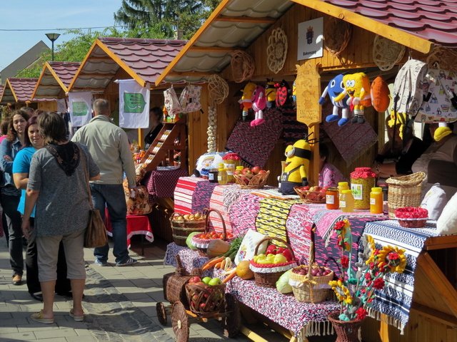 Megyei Közfoglalkoztatási Kiállítás 016